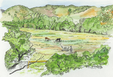 Dundee Farm by Paddy Tillet